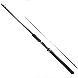 Спиннинг Tailwalk Master Build Jigging C57MH