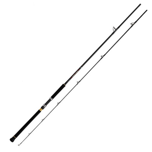 Спиннинг Daiwa 21 Over There Grande 100MH