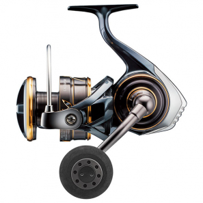 DAIWA 22 CALDIA SW