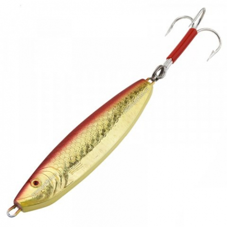 119.jpg