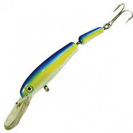 sardine.jpg