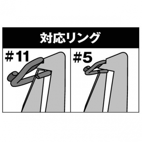 5555.jpg