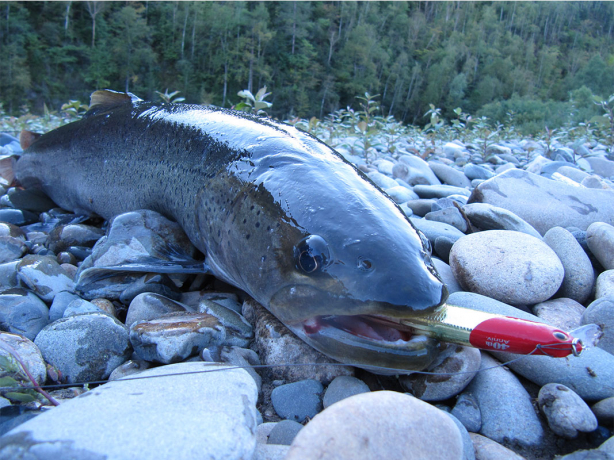 Без-имени-1.jpg